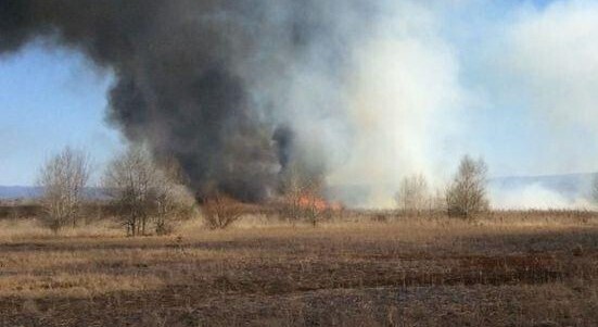 Съобщение във връзка със зачестилите пожари на територията на община Генерал Тошево