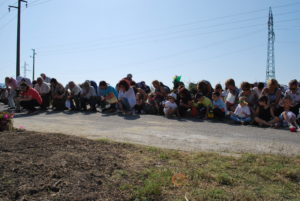 Picture 012